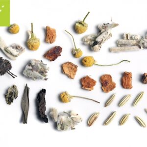 Olympos Detox bio 100gr